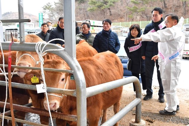 울주군, 2026년 설 대비 가축시장 현장 점검