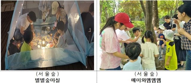 서울숲에서 진행하는 별별숲마실·매미와맴맴맴 프로그램 사진
