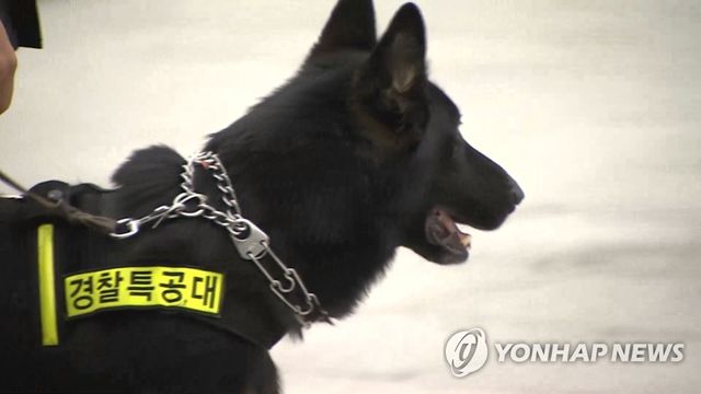 경찰특공대 수색견