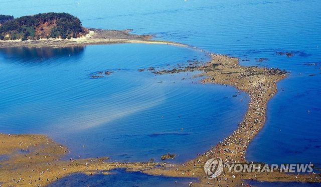 보령 무창포 바다갈라짐