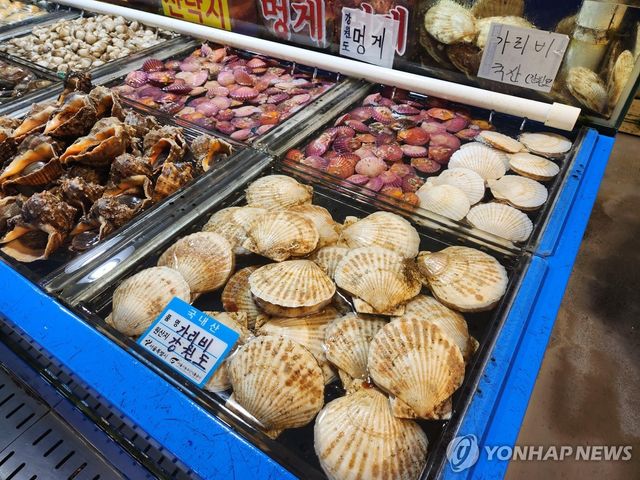 송파구 가락 수산시장에서 파는 국내산 가리비