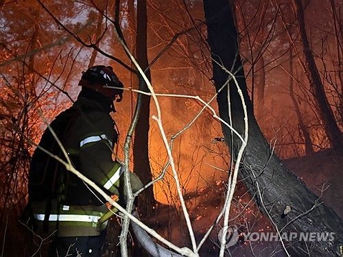산불 속 사투하는 소방관