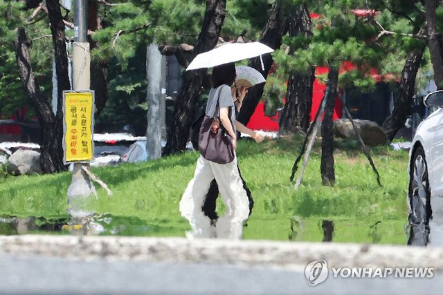 폭염에 피어오르는 아지랑이