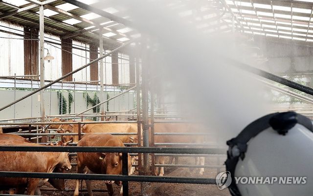 '너무 덥소'