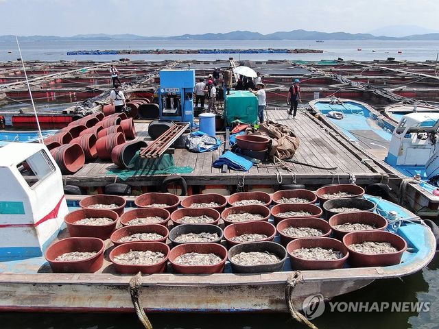 "이게 다 죽은 물고기여"
