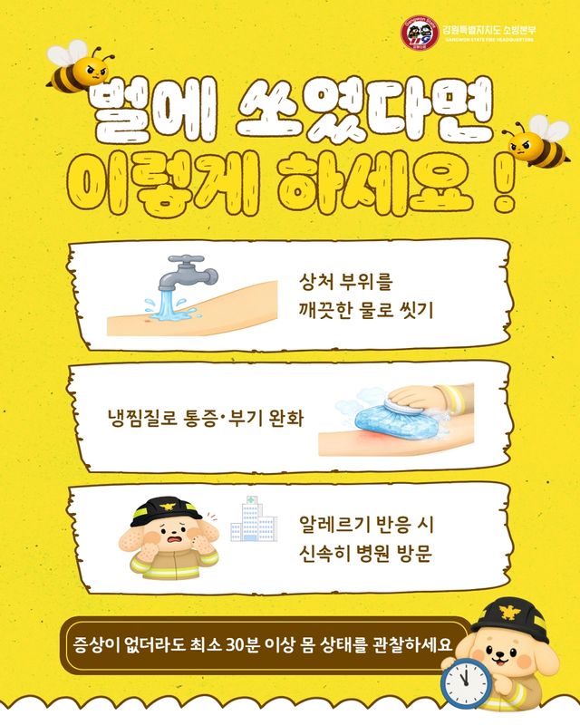 벌 쏘임 대처법