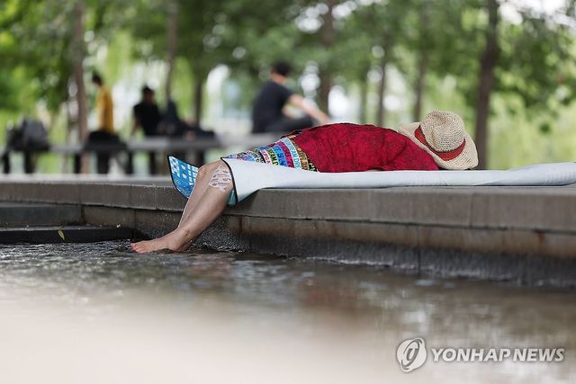 그늘과 함께하는 낮잠