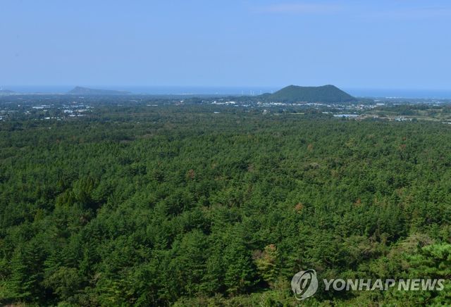 한경곶자왈 전경