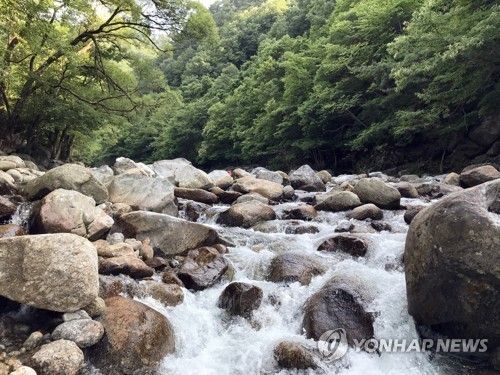 남원 지리산 달궁계곡