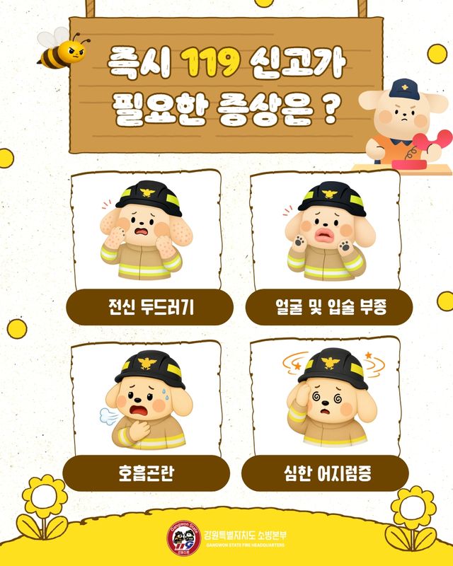 벌 쏘임 증상
