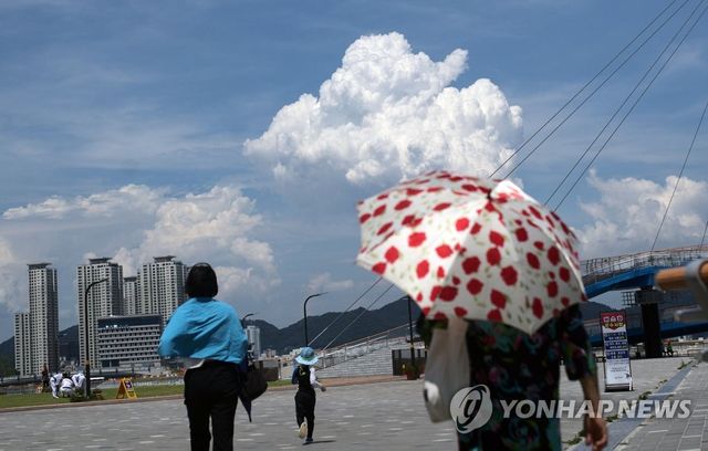 폭염에 양산 필수