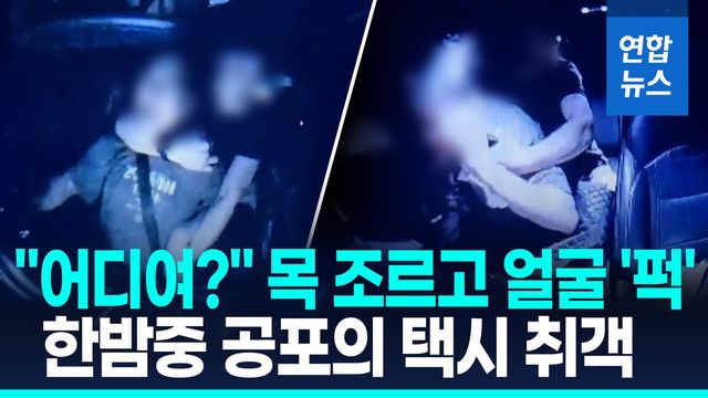 [영상] "밤마다 그날 떠올라"…고속도로 달리던 택시서 만취 승객 난동 - 2
