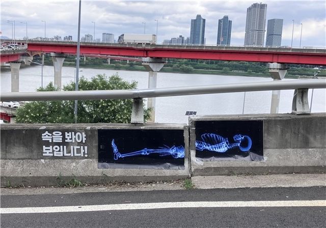 성수대교 9㎝ 단차 지점에 '부러진 척추' 엑스레이 깜짝 광고