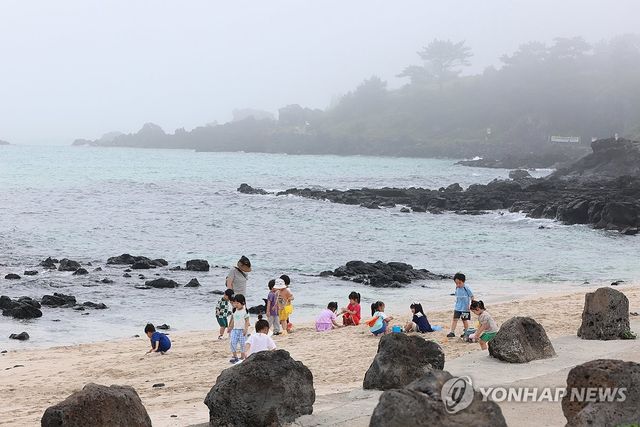 안개 낀 바닷가에서