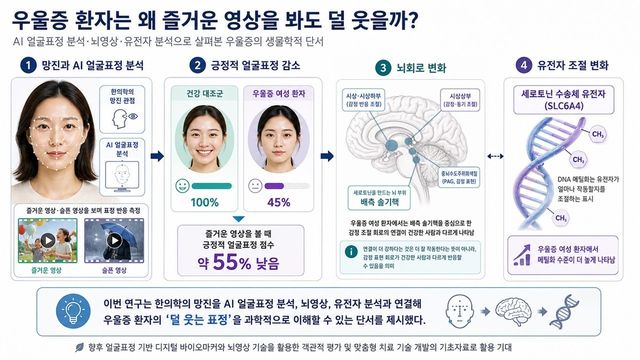 연구 모식도