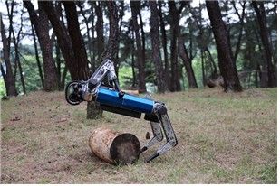장애물 극복