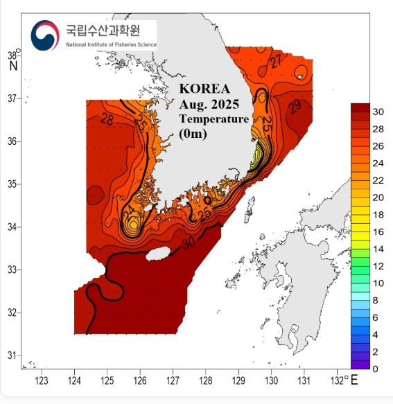 지난해 8월 우리나라 표층 수온 상황도