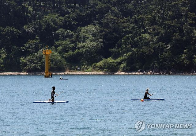 일산해수욕장서 패들보드 타는 피서객들