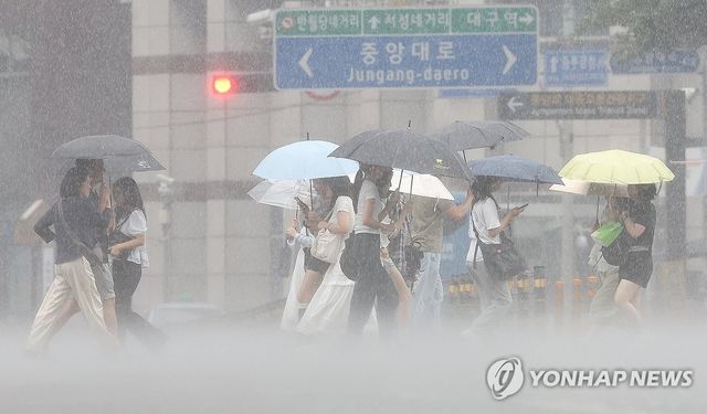 하얗게 쏟아지는 장맛비