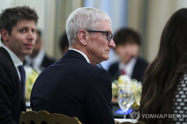 샘 올트먼(왼쪽) 오픈AI CEO와 팀 쿡 애플 CEO
