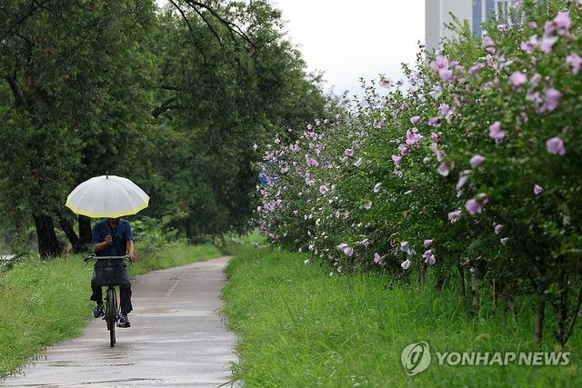 비 내리는 광주