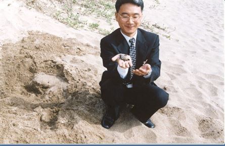 세계적 희귀종 왕바다거북 제주서 부화(1999년 10월 18일)