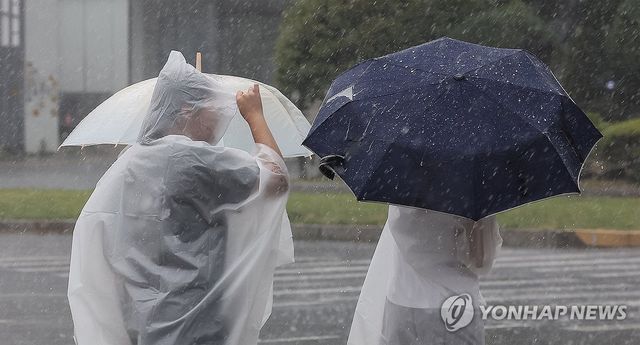 세차게 내리는 장맛비