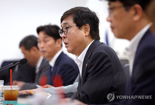발언하는 최휘영 문체부 장관