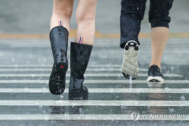 장화가 필요한 장마의 계절