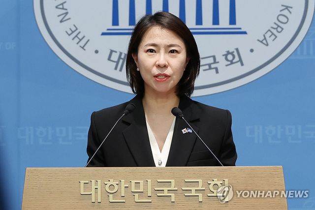 더불어민주당 김한나 대변인