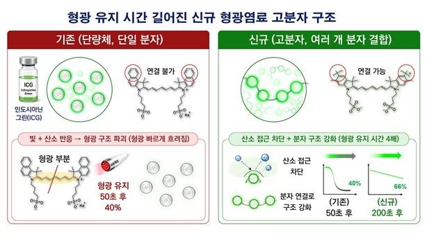 연구팀이 만든 근적외선 고분자 구조