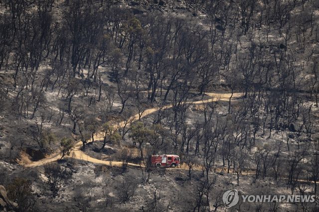 스페인 산불 피해