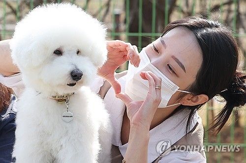 강아지를 사랑해 주세요 