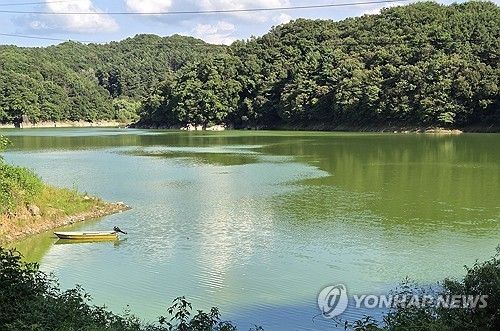 작년 8월 20일 녹조가 발생한 대청호. [연합뉴스 자료사진]