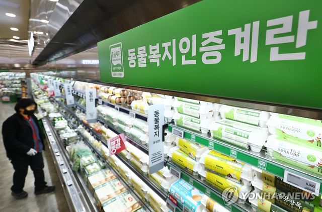 (서울=연합뉴스) 진연수 기자 = 건강과 윤리적 소비에 대한 관심이 높아지면서 가격이 비싸더라도 '프리미엄 계란'을 선택하는 소비자들이 늘고 있다. 사진은 30일 서울의 한 대형마트 계란 판매대 모습. 2026.3.30 jin90@yna.co.kr