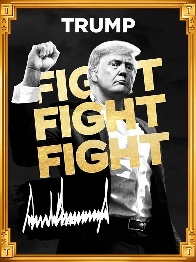 트럼프 밈코인 '#TRUMP' 이미지