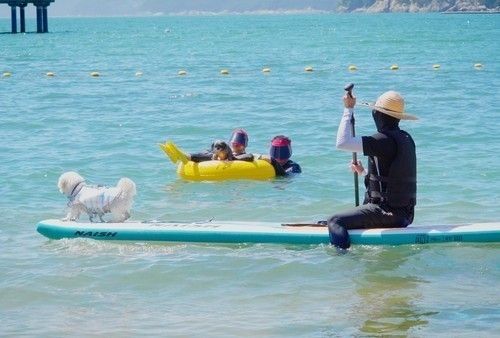 거제 명사해수욕장 '댕수욕장'