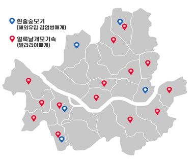 서울시 매개 모기 채집 현황