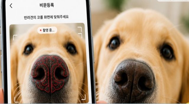 반려견 비문 등록