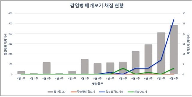 감염 매개 모기 채집 현황