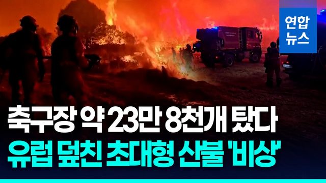 [영상] 폭염에 산불까지 덮친 유럽…스페인서 서울 절반 면적 불탔다 - 2