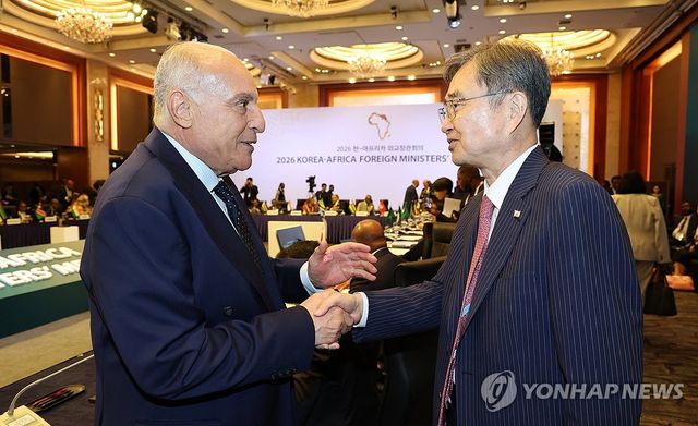 알제리 외교부 장관과 대화하는 조현 외교부 장관
