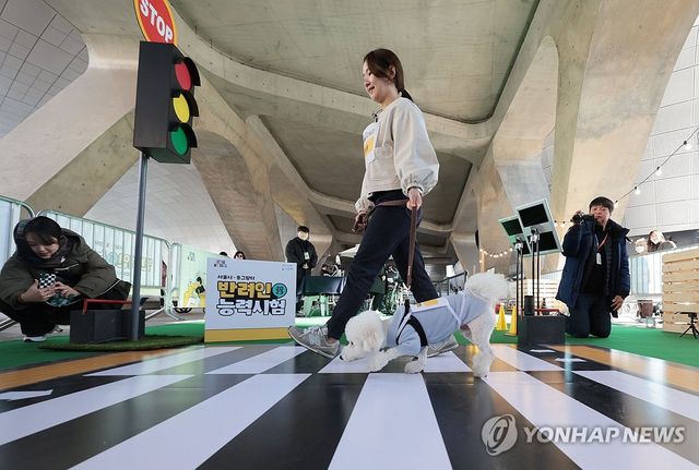 '내 반려인의 점수는?'
