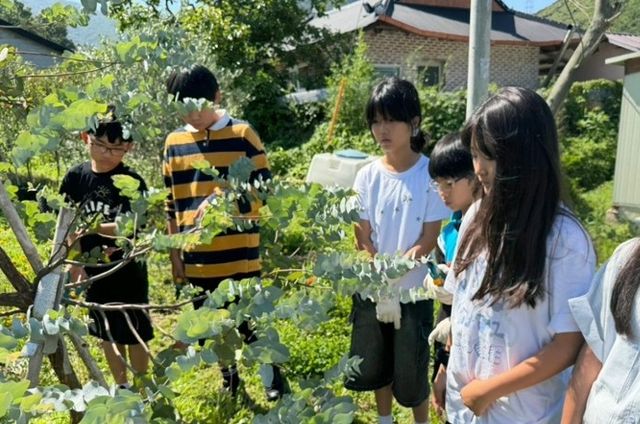 체험 프로그램 참가 학생들