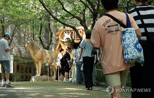 지난달 5일 늑대 사파리를 찾은 대전오월드 관람객