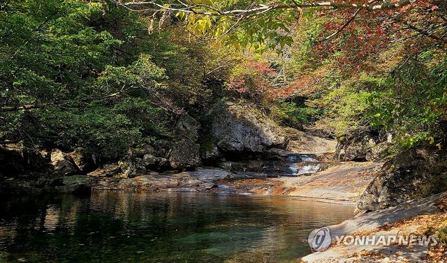 단풍 물든 지리산 피아골