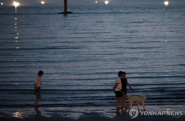 잠 못드는 밤