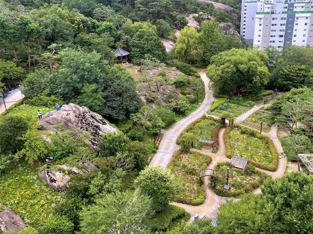 서대문구가 전면 정비한 백련근린공원 논골