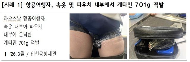 항공여행자 마약 밀반입 적발 사례