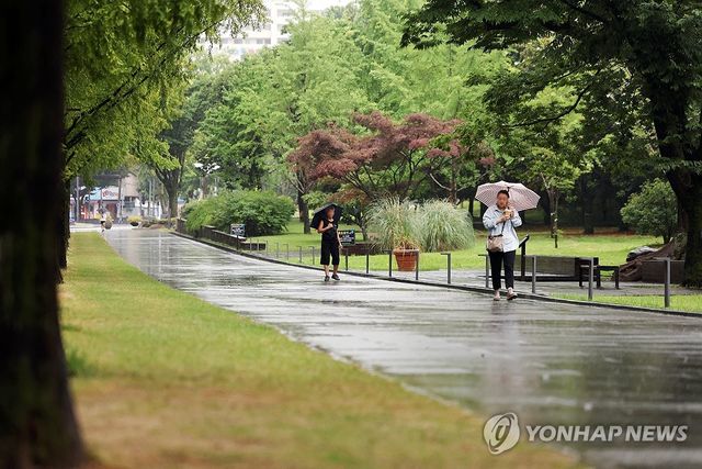 올해 첫 장맛비 내리는 전남대학교 교정
